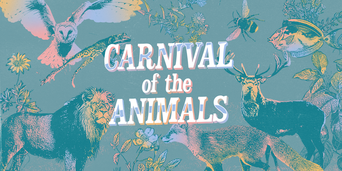 Carnival of the Animals announced for next year's festival – Just So  Festival